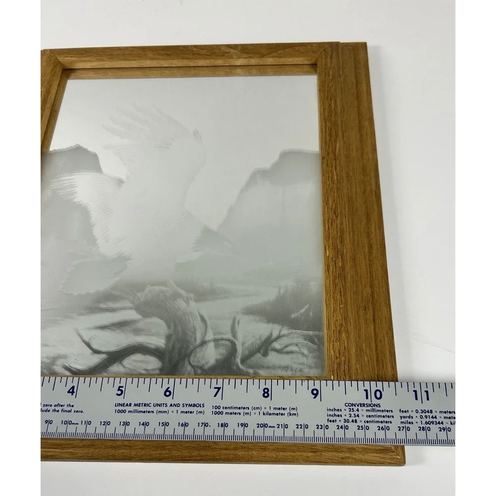 Framed Etched Bald Eagle Decorative Accent Mirror Oak Frame 10